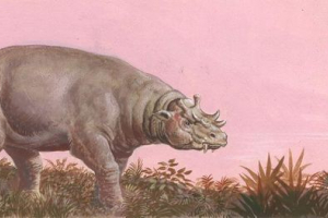 Wintateria - drevni biljojedni sisavac Wintateria - drevni biljojedni sisavac