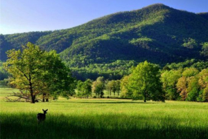 Umjereni klimatski pojas Umjereni klimatski pojas