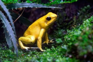 Užasno slobodno vrijeme Užasno slobodno vrijeme
