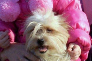 U zračnoj luci jekaterinburg, domaćica je bacila zamrzavanje U zračnoj luci jekaterinburg, domaćica je bacila zamrzavanje