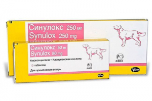 U kojima su slučajevi propisani sininoks za pse, doziranje i troškove lijeka U kojima su slučajevi propisani sininoks za pse, doziranje i troškove lijeka