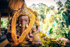 U koje zemlje svijeta, koje se životinje smatra svetim?