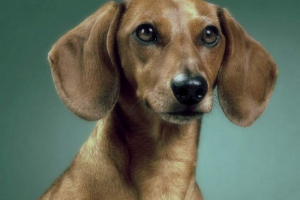 U omsk-u se nepoznate osobe sagnule s kiselinom