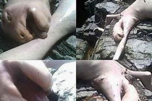 U panami je pronađeno neka vrsta čudovišta