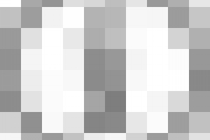 Izgled i karakter sfingijskih mačaka Izgled i karakter sfingijskih mačaka