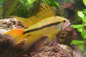 Briga o potomstvu Briga o potomstvu