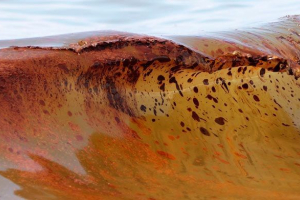 Onečišćenje hidrosfere Onečišćenje hidrosfere