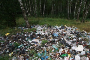 Zagađenje šuma Zagađenje šuma