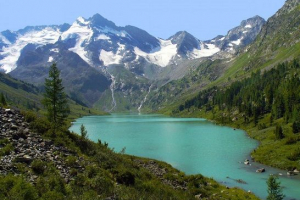 Rezerve širokog šumskih šuma