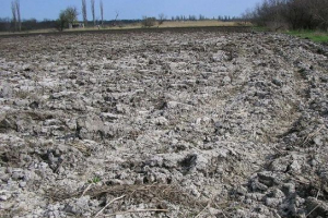 Saliniranje tla Saliniranje tla