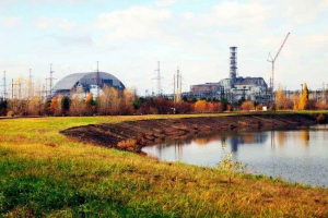 Životinjski svijet černobil - karakteristične, mutacije, fotografije i videozapisi Životinjski svijet černobil - karakteristične, mutacije, fotografije i videozapisi