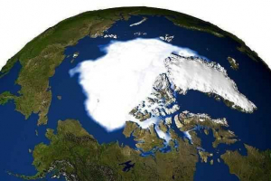 Životinjski svijet sjevernog pola Životinjski svijet sjevernog pola